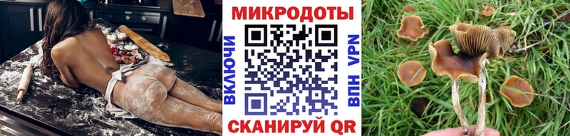 Псилоцибиновые грибы мицелий Дербент