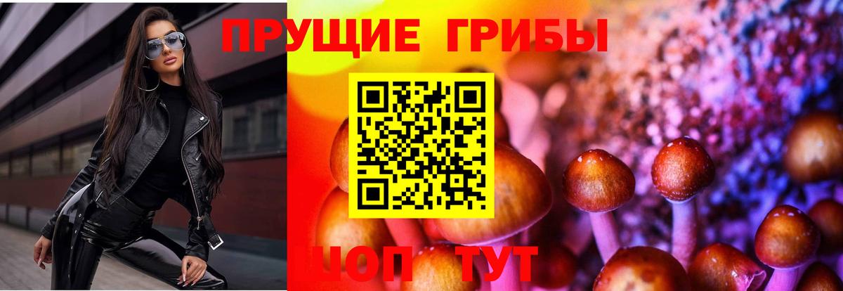 Псилоцибиновые грибы Psilocybine cubensis  как найти   Дербент  Вход с VPN 
